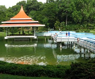 bridge zig zag macritchie posted